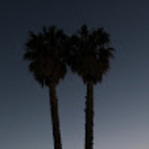 Meet your Posher, Karina